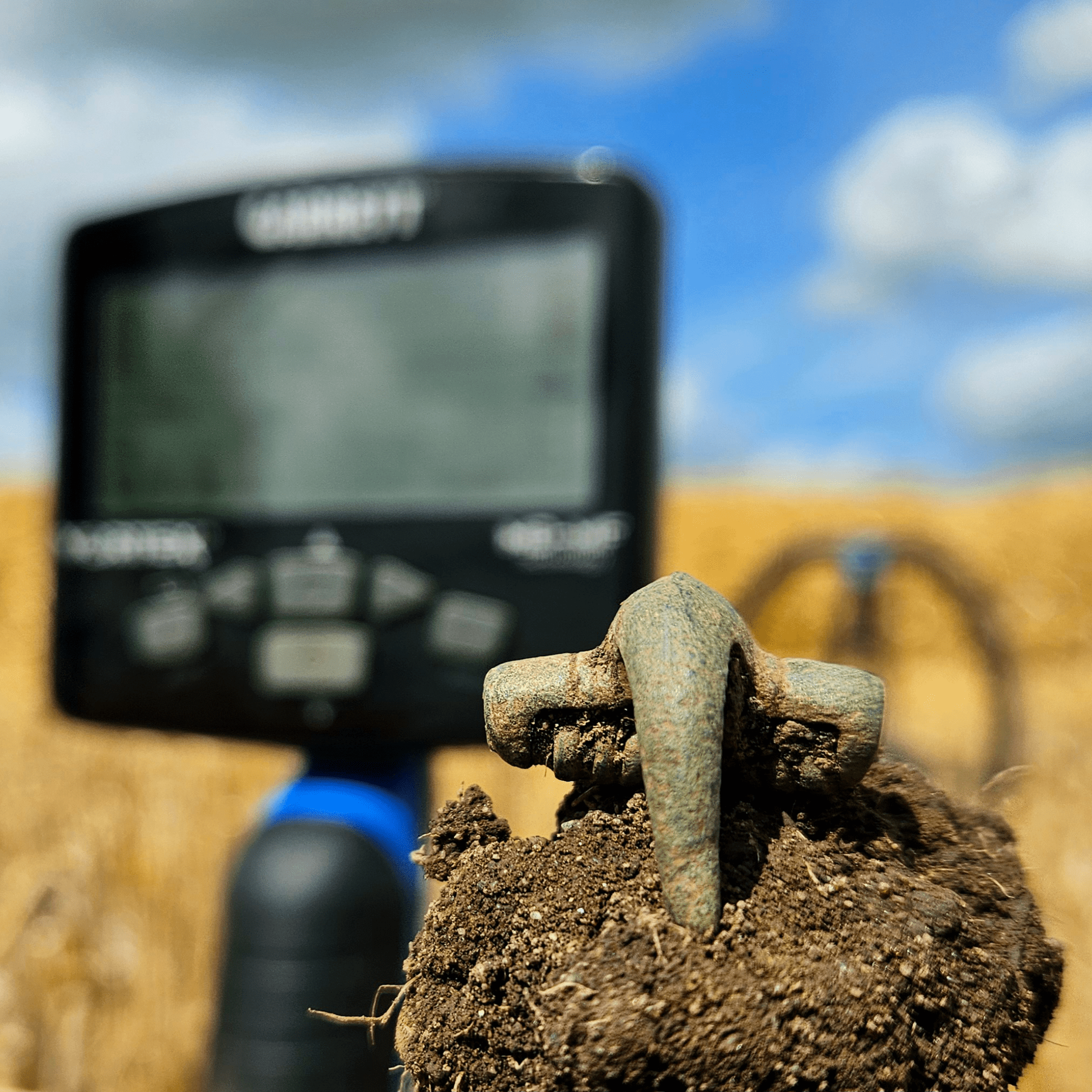 Chris L - Roman Fibula