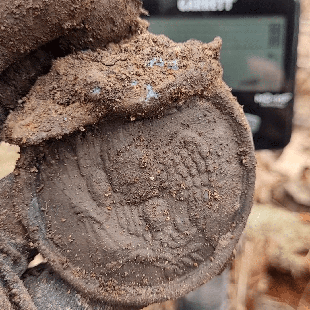 Emily C - NCO Eagle Breast Plate