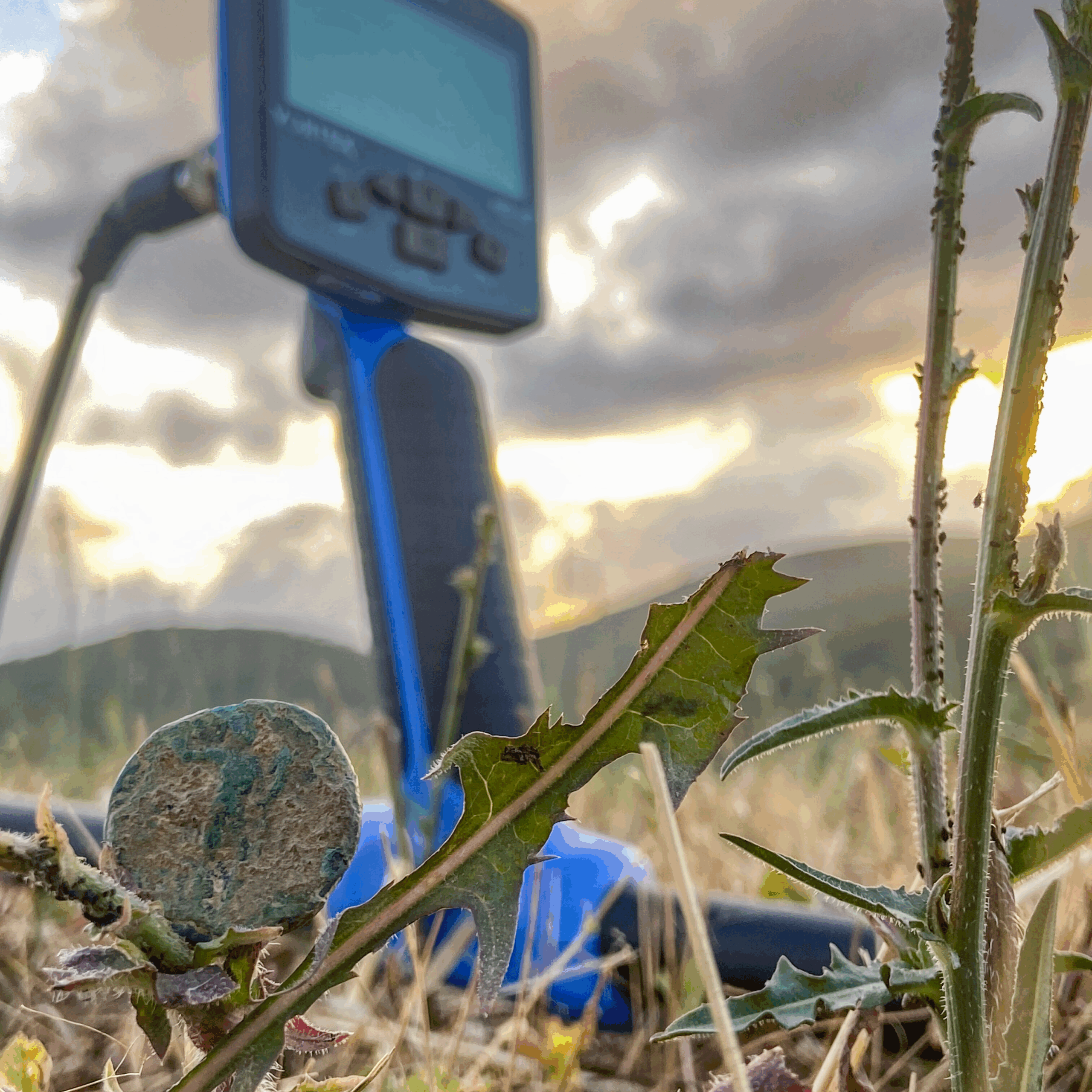 Miguel A. - Roman Coin